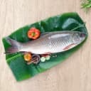 Meat & Seafood